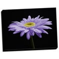 thumbnail image 2 of Gango Home Decor Gerber Angle IV by Jim Christensen (Ready to Hang); One 24x18in Hand-Stretched Canvas, 2 of 4