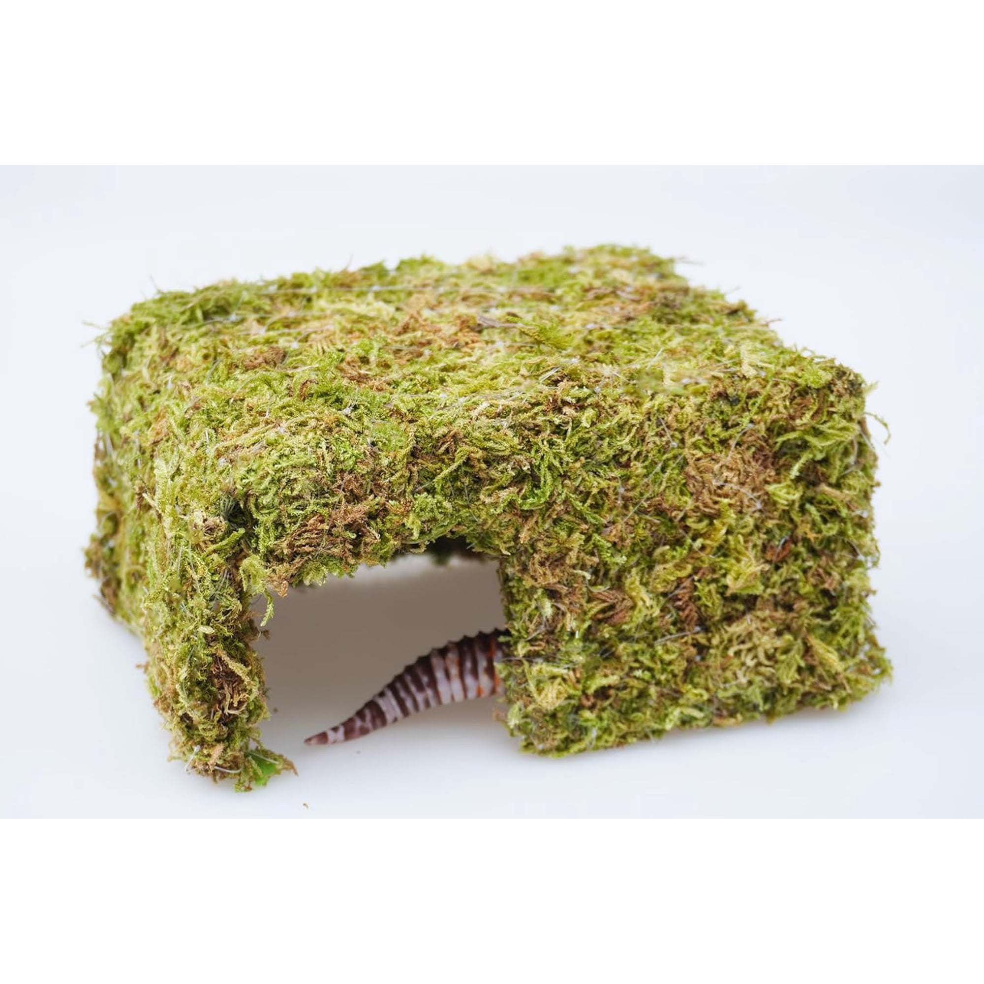 Leopard Gecko Tank Accessories, Reptile Hideout Cave, Essential Tank Terrarium Habitat Decor, Adjustable Toys Supplies