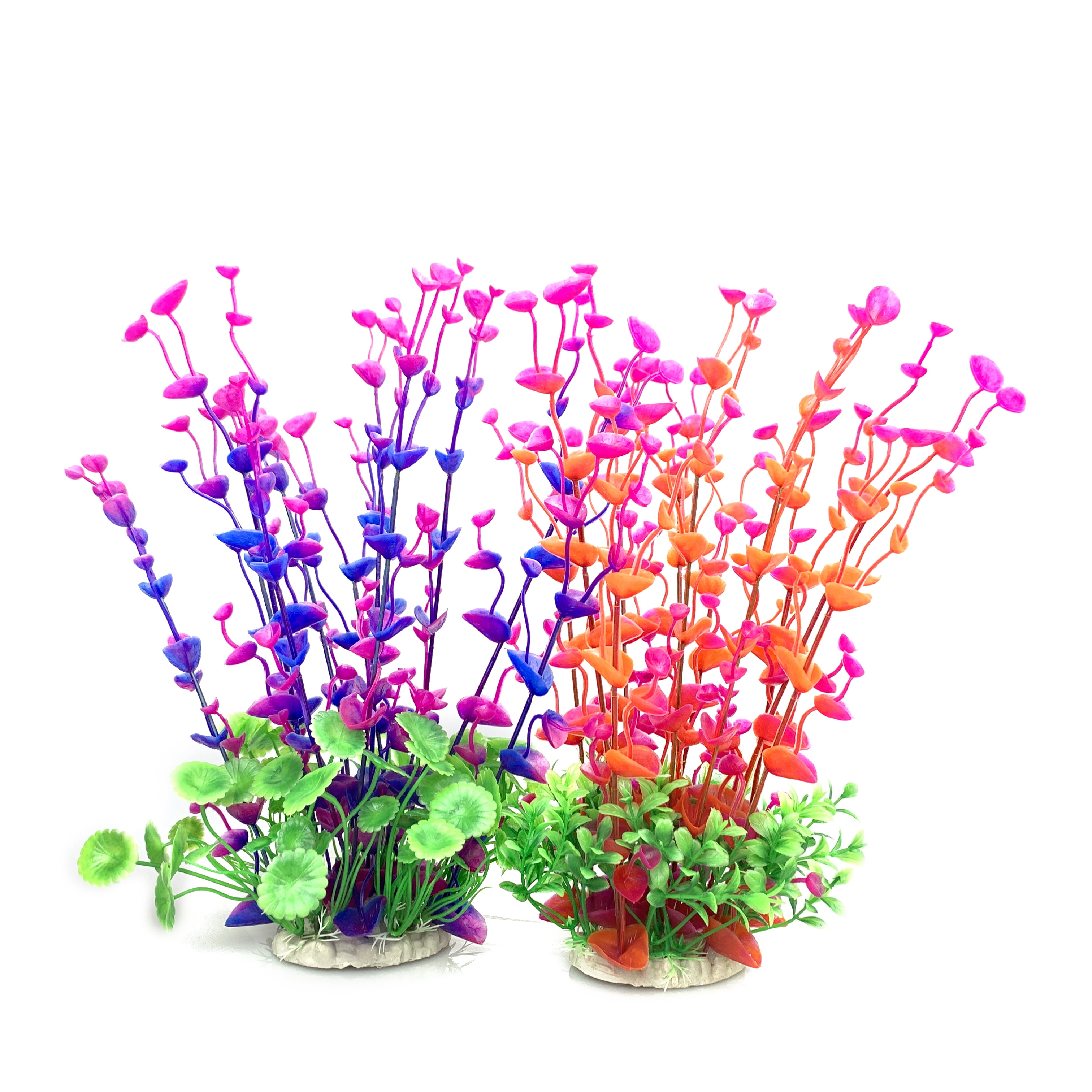 Acquario Cubo 20x20x20cm BEGONDIS - Vasca Vetro Altoissima Trasparenza Per Pesci, Piante O Tartarughe