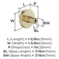 thumbnail image 2 of Amerock Versa 1-3/8 inch (35mm) Diameter Golden Champagne Cabinet Knob, 25 Pack, 2 of 3