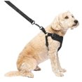 thumbnail image 2 of Canada Pooch, Easy-On Step-In Harness Black, 2 of 4