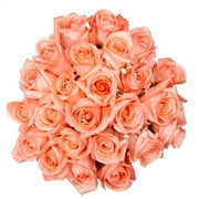 Mother's Day Coral Pink Roses