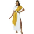 thumbnail image 2 of Goddess Toga Adult Costume, 2 of 2