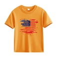 thumbnail image 3 of JLMSPLWG Toddler Flag Shirt Independence T Shirt Kids 250 Years American Short Sleeve Tops Boys America Anniversary 250th Freedom Tees Newborn Boy Clothes, 3 of 4