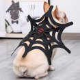 thumbnail image 2 of Disfraz de mascota Spider Web Cat Dog Halloween Christmas Dress Up, 2 of 8