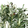 thumbnail image 5 of Northlight Artificial Olive Tree with Foliage In a Black Pot - 40", 5 of 8