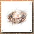 thumbnail image 3 of Epic Art "Bird Life IV" by Ethan Harper, Acrylic Glass Wall Art, 36"x36", 3 of 7