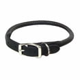 thumbnail image 1 of Collar para perro Coastal Circle T de piel curtida de roble negro 1,6 x 41 cm, 1 of 8