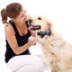 thumbnail image 4 of Collares para perros y gatos con pajaritas ajustables y desmontables, de caballero., 4 of 5