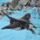 thumbnail image 1 of Modelo de animal marino CUTICAT figura de criaturas coleccionables PVC juguete educativo, 1 of 8