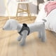 thumbnail image 2 of 2 uds maniquí de perro PU posición de material cuero para exhibir juguetes para perros, 2 of 3