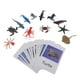 thumbnail image 4 of Montessori Animal Match Cards and Figurines piezas modelo de animales en miniatura piezas de s de papel, juguete de aprendizaje CUTICAT Juguete de animales de educación, 4 of 7