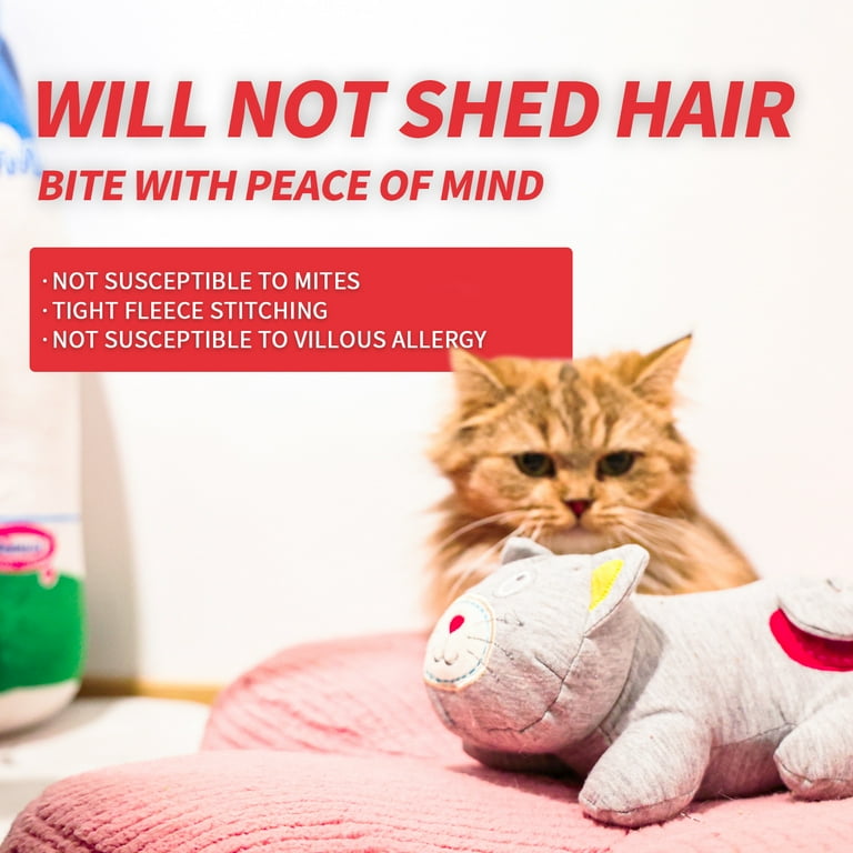 Heartbeat toy for kittens hot sale