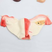 Axis Scientific Complete Endocrine Gland Set Anatomy Model - Human anatomy system miniature, scientific anatomy model, mini figure for Classrooms Studies, Education Study Anatomical