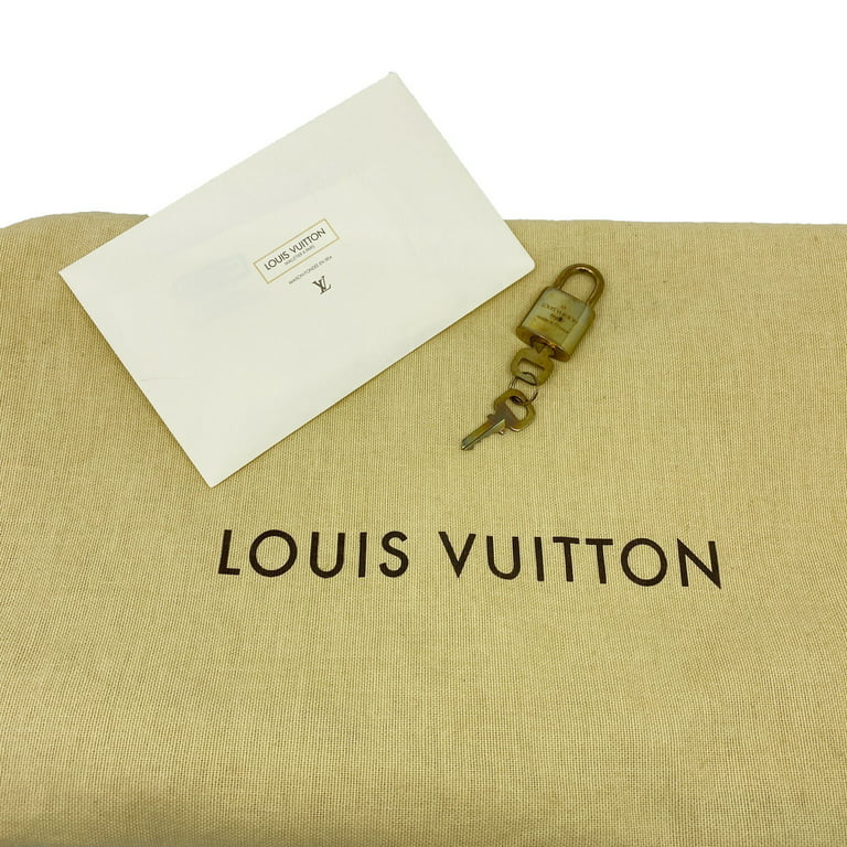 Louis Vuitton Gift Bag Dust Bag  Louis vuitton gifts, Louis vuitton,  Vuitton