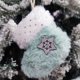thumbnail image 5 of Adornos navideños, medias navideñas, calcetines navideños, calcetines de poliéster, calcetines de poliéster para colgar en el árbol de Navidad, regalos, festivales y decoración del hogar., 5 of 6