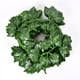 thumbnail image 2 of Planta de hojas de 80 hojas, tira pequeña, simulación de hojas de ratán, hojas verdes, enredadera de simulación, enredadera decorativa, hojas de enredadera, 2 of 4