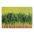 thumbnail image 1 of Natural Color Cutting Board, Photo of Ripe Carrots in a Row Vegetable Art, Decorative Tempered Glass Cutting and Serving Board, in 3 Sizes, by Ambesonne, 1 of 2