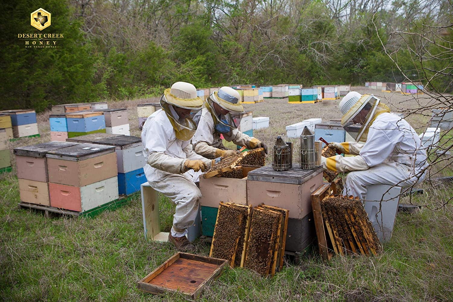 Raw, Unfiltered, Unpasteurized Texas Honey by Desert Creek Honey 5 lbs (80 oz) Non-GMO, Kosher