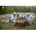 thumbnail image 5 of Honest Raw Honey, 22oz by Desert Creek, 5 of 6