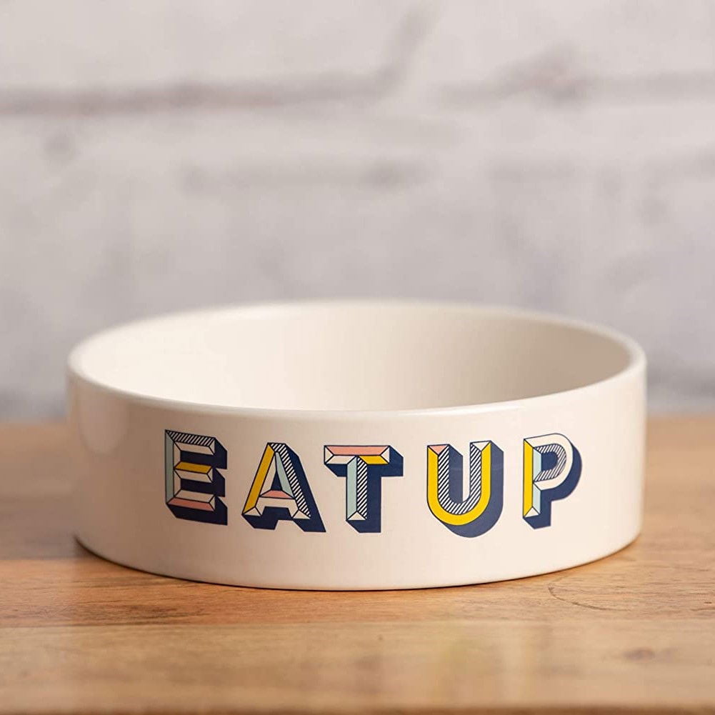 Park Life Designs Retro Cup 6.25" Medium Dog Bowl