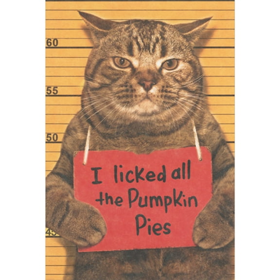 Recycled Paper Greetings Cat Mugshot: Licked all the Pumpkin Pies Humorous / Funny Thanksgiving Card