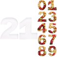 thumbnail image 1 of Charcuterie Cardboard Number Fillable Shaped Treat Decorative Box Anniversary Birthday Table Centerpiece (21 Style, 15inch), 1 of 6