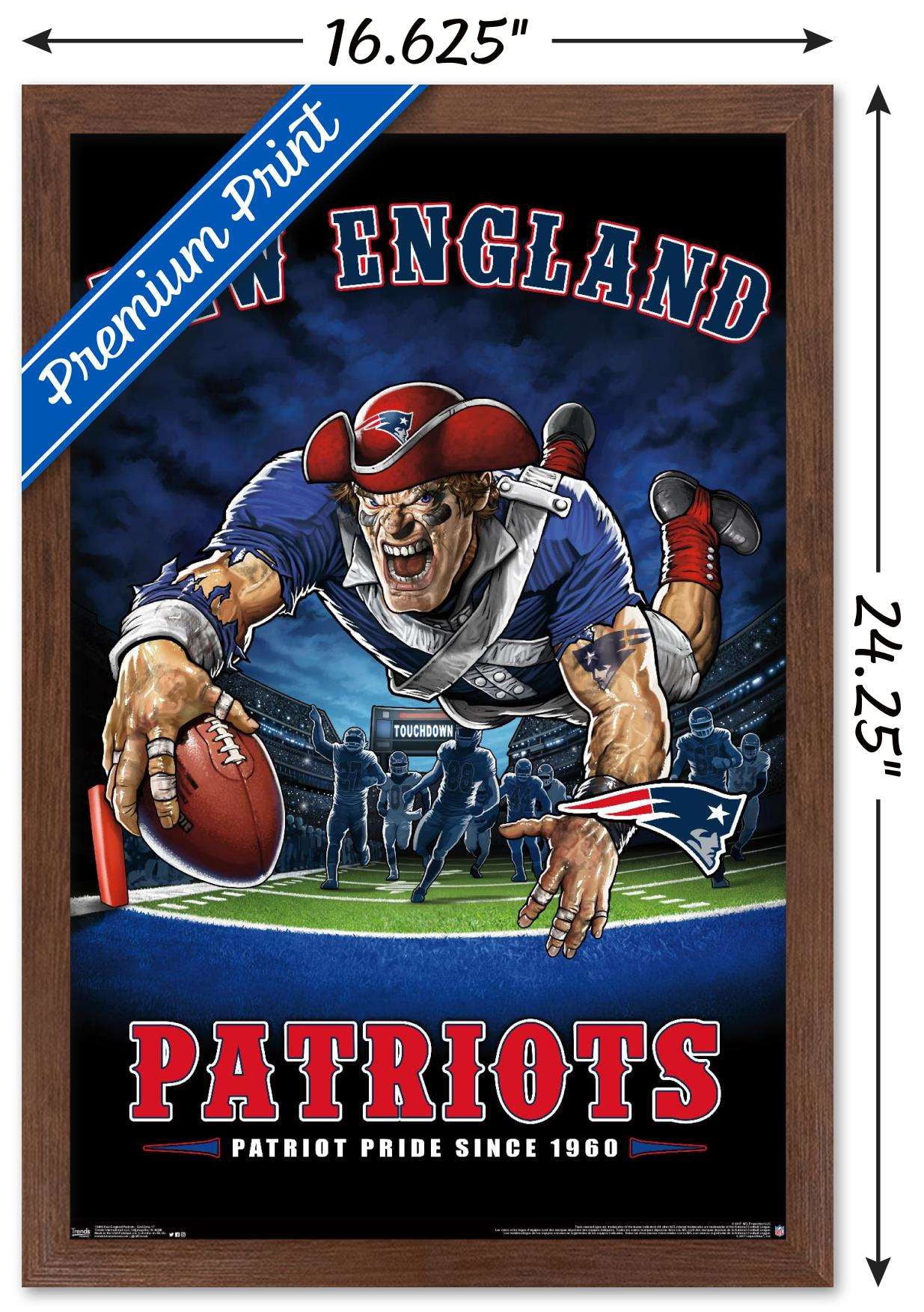 NFL New England Patriots - End Zone 17 Wall Poster, 14.725" x 22.375", Framed