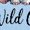 AE-Light Blue, variant on Inktastic Wild One Jungle Animals Baby Safari Boys or Girls Baby T-Shirt