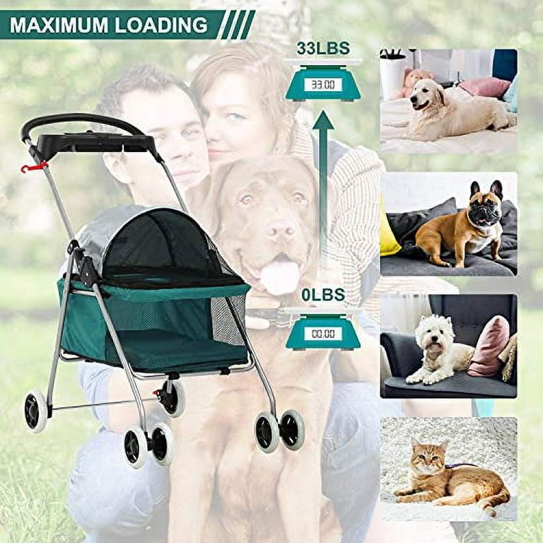 Pet roadster sale