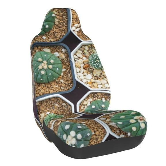 Naloa Cactus Garden Car Seat Covers Universal Front Seat Coves for Car Accessories ,Padded Car Covers for Automotive, SUV, Truck, and Van