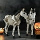thumbnail image 5 of Estatua de esqueleto de vaca para Halloween, vaca, caballo, gato, rana, animales de esqueleto realistas, decoraciones de Halloween para el patio, esqueleto espeluznante, esqueleto de animal de vaca pa, 5 of 8