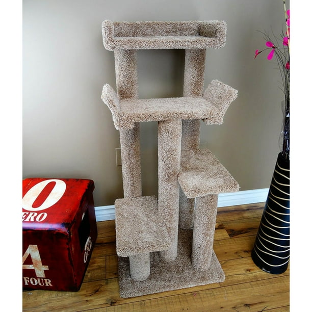 New Cat Condos Unique Colorful Cat Playground