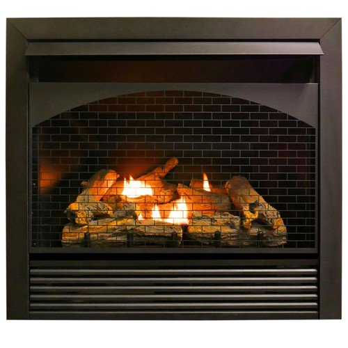 ProCom Zero Clearance Fireplace Insert With Remote - Model FBNSD32RT -  Walmart.com