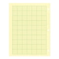 thumbnail image 3 of Computation Pad National Quad Ruling de 5 x 5 pulgadas, 8,5 x 11, 100 hojas, 3 of 6