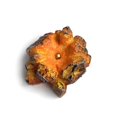 thumbnail image 1 of Lava Dragon Egg Statue Base Ornamental Dinosaur Eggs Sculpture Base F, 1 of 5