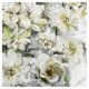 thumbnail image 1 of Cuadros Decorativos Jr Flores de invernadero I Canvas, 1 of 2