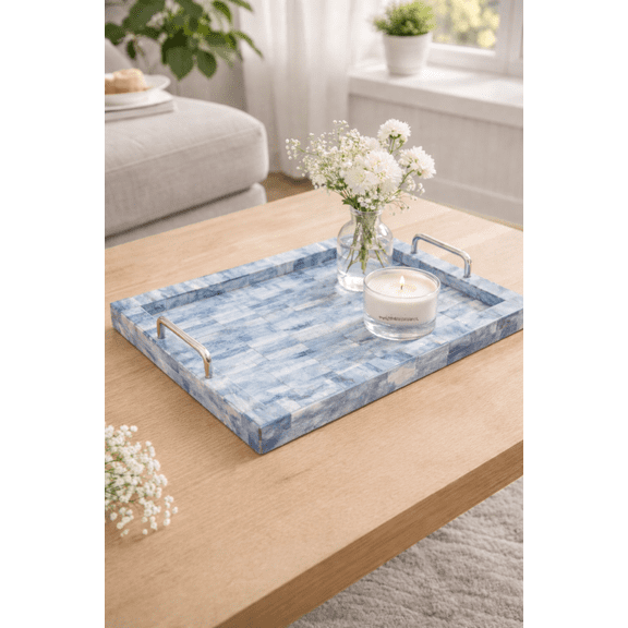 Expobazaar Friedan Tray-Large Stainless Steel Glass Aluminium Handle Multicolor