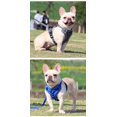thumbnail image 3 of No Pull Dog Harness and Leash Set Adjustable Pet Harness Vest For Small Dogs Cats Reflective Mesh Dog Chest Strap French Bulldog, 3 of 3