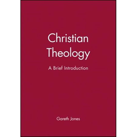 Pre-Owned Christian Theology : A Brief Introduction (Paperback) 9780745610634