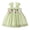 Light Green, variant on Summer Layered Tulle Tutu Dress for Toddler Baby Girls Rainbow Tutu Princess Skirt Butterfly Wing Green for Size 2-3 Years