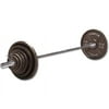 Champion Barbell WSETS310 300 lbs Standard Weight Set