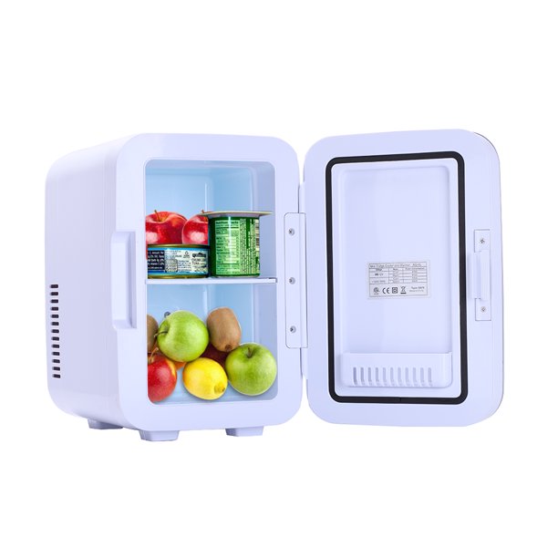 Mini Fridge Portable Electric Cooler and Warmer AC/DC for Food