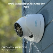 Reolink 2pcs 12MP PoE IP Camera Outdoor Dome Surveillance Cameras Pet Detect Color Night 2-Way Talk