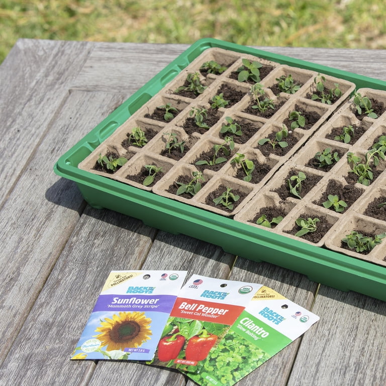 Back to the Roots Germination Kit with 50 Cell Plantable Tray