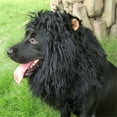thumbnail image 4 of Lion Mane Wig for Dogs, Funny Pet Halloween Costumes, Furry Dog Clothing Accessories (Size L, Black), 4 of 7