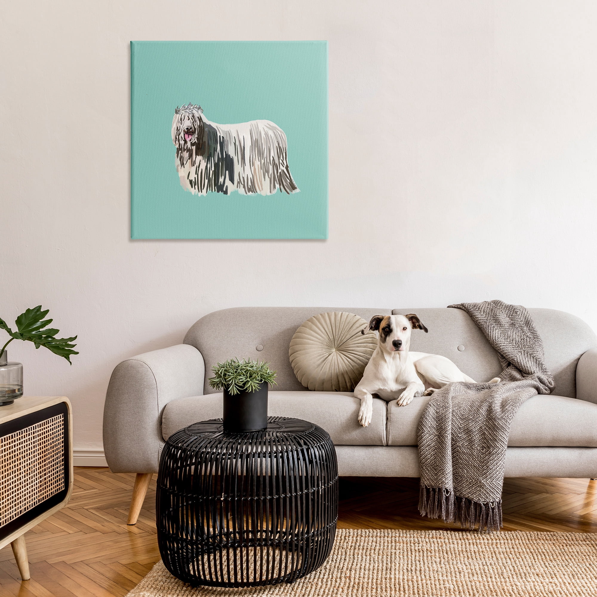 Stupell Industries Long Haired Dog in Crown Animals & Insects Painting Gallery Wrapped Canvas Art Print Wall Art, 36 x 36