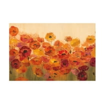 Trademark Fine Art 'Summer Poppies' Canvas Art by Silvia Vassileva