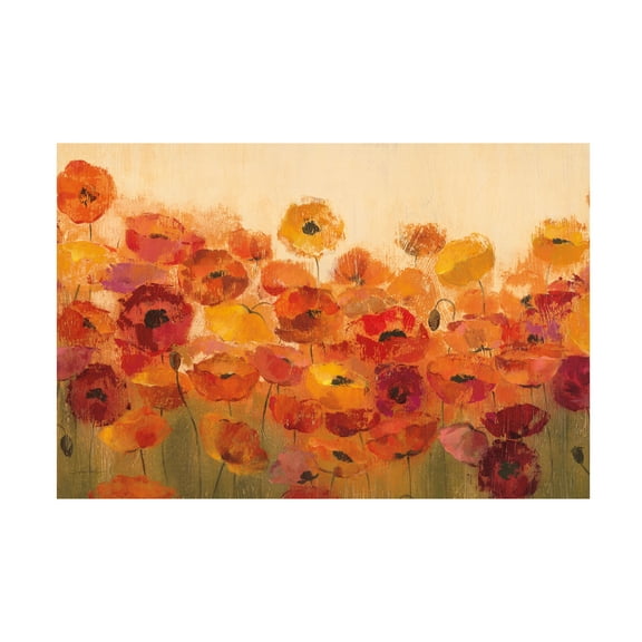 Trademark Fine Art 'Summer Poppies' Canvas Art by Silvia Vassileva