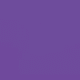 thumbnail image 4 of Playera Blusa De KIWI – Estilo Tropical que Te Llena de Vida Ropa Para Mujer Color Morado Talla Extra Grande Marca Emil SaEs, 4 of 4